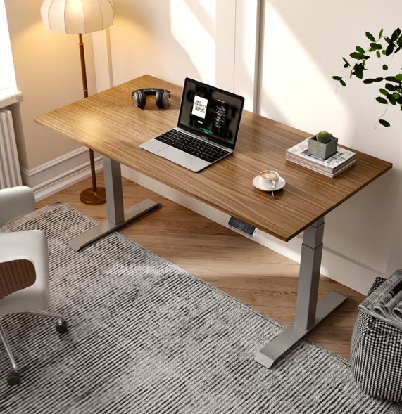 FlexiSpot Standing Desk